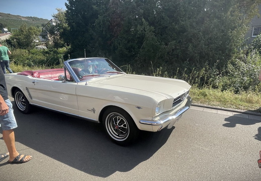 Stein trifft Classic